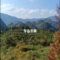 美丽风景赏析：午山子向