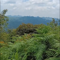 风景赏析