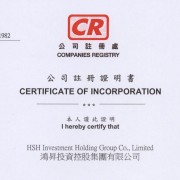 鸿昇投资 LOGO