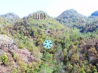 名师带你学：什么是莲花形图3