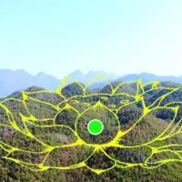 名师带你学：什么是莲花形