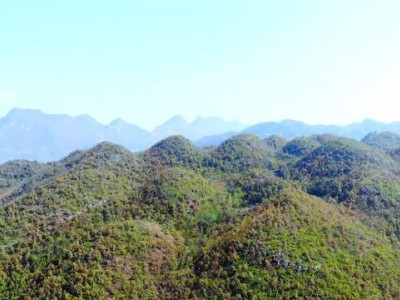 名师带你学：什么是莲花形图2