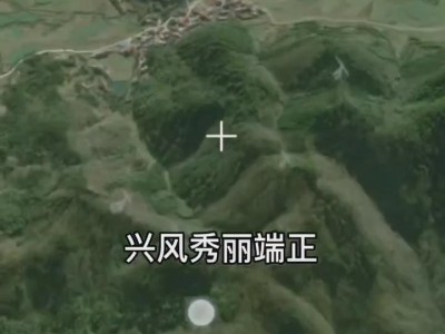 名师带你学：什么是真龙图2