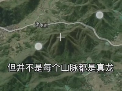 名师带你学：什么是真龙图3