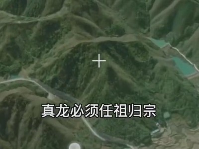 名师带你学：什么是真龙图4