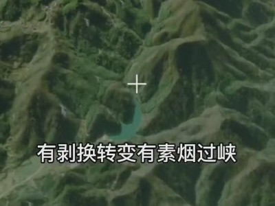 名师带你学：什么是真龙图5
